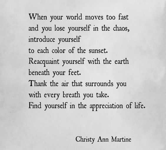 I Will Live in&nbsp;Joy!