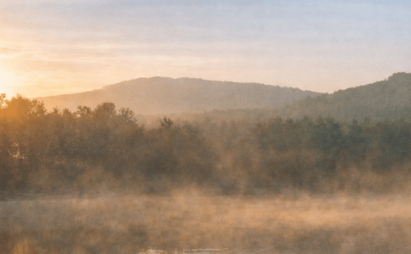 You Have to Feel It&nbsp;First